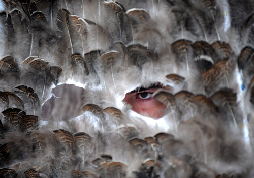 點(diǎn)擊瀏覽下一頁