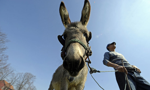 點(diǎn)擊瀏覽下一頁(yè)