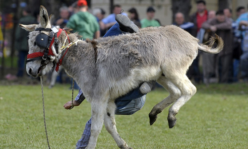 點(diǎn)擊瀏覽下一頁(yè)