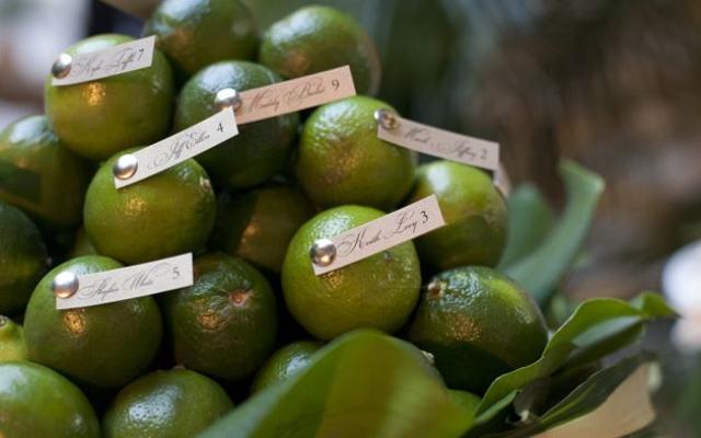 巧思妙想：非常有趣的一個擺放提示卡的方法：黛比將客人的姓名和桌號插到了新鮮的萊姆果上；?