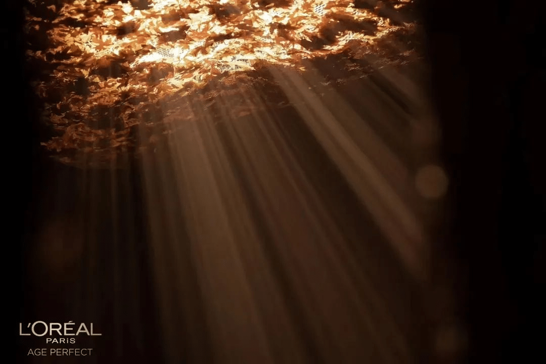 歐萊雅「金致松露系列·生息光影藝術展」